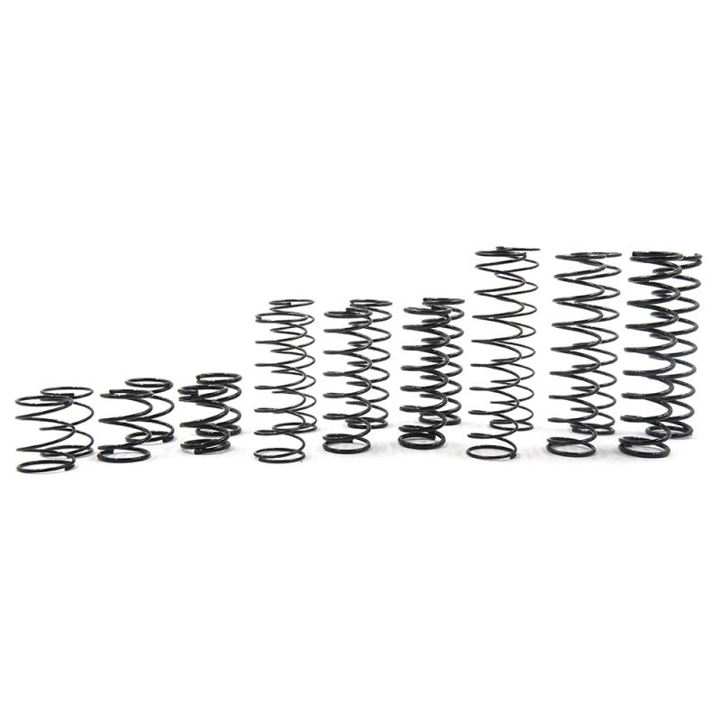 Yeah Racing Desert Lizard 100mm Spring Set (YEA-DDL-002) Yeah Racing
