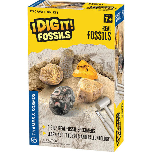 I Dig It! Fossils - Real Fossils Excavation Kit Thames & kosmos