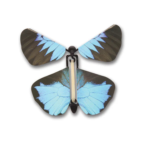 Windup Australian Butterflies Heebie Jeebies LLC