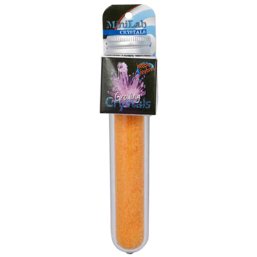 Growing Crystals Test Tube Heebie Jeebies LLC