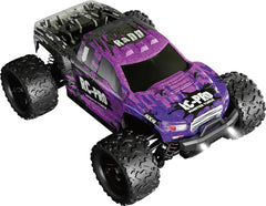 RC Pro RADD 1/18 RTR Monster Truck RC PRO