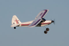 RAGE RC Super Cub MX4 Micro EP 4-Channel RTF Airplane with PASS System (RGRA1114) HRP