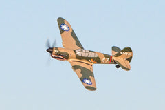 Rage RC Curtiss P-40 Warhawk Micro RTF Airplane w/PASS (RGRA1305) HRP