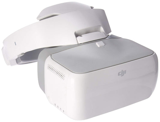 DJI Goggles (Consignment Hen)