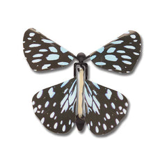Windup Australian Butterflies Heebie Jeebies LLC