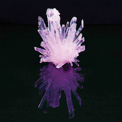 Growing Crystals Test Tube Heebie Jeebies LLC