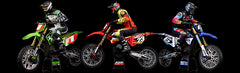 Losi 1/4 Promoto-MX Motorcycle RTR (LOS06000) (Pre-Order)