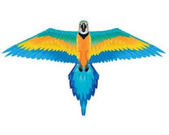 Brain Storm Products flying Kites: (Multiple styles Available) Amain Hobbies