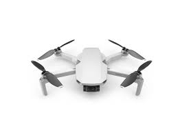 DJI Mavic Mini (Consignment Hen)