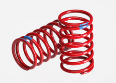 1/16 GTR Springs (2.925-Rate Blue Stripe) (2) TRAXXAS