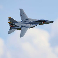 E-flite F-14 Tomcat Twin 40mm EDF BNF Basic (EFL01450) Friendly Hobbies
