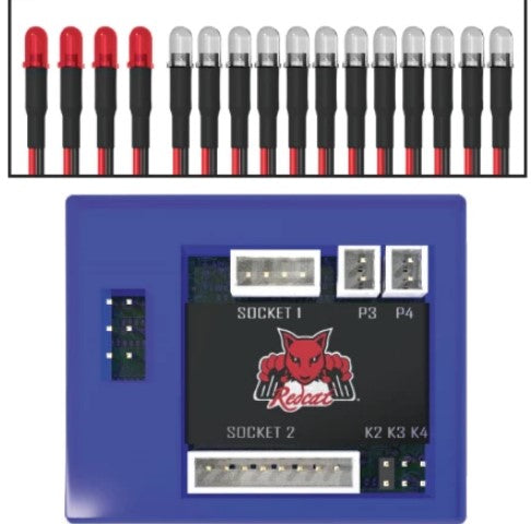 Redcat 16 LED Light Kit with Control Box (RER11650)