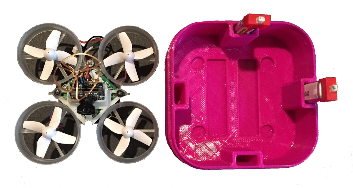 Friendly Hobbies FPV Inductrix Case