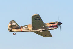 Rage RC Curtiss P-40 Warhawk Micro RTF Airplane w/PASS (RGRA1305)